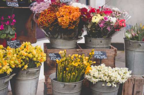 flower shop stall arrangement bloom