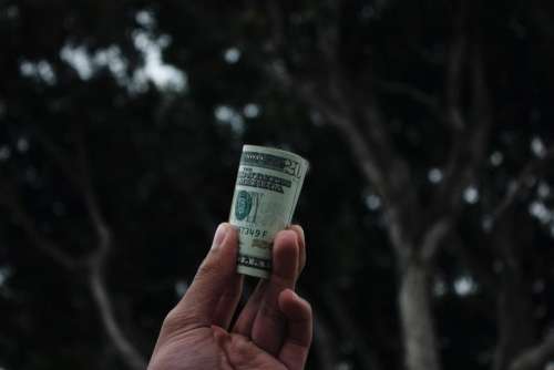 dark tree hand bill money