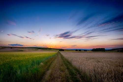 nature landscape field grass plains