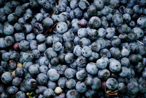 blueberries fruits food healthy