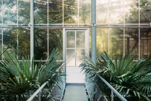 green plant building glass path