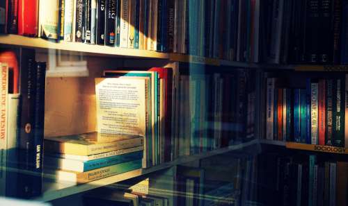 books bookshop bookshelf reading sunlight