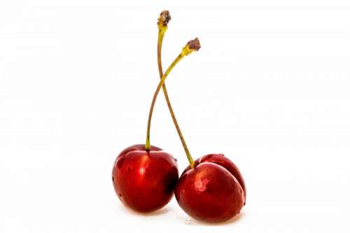 food fruits cherries graphic stem