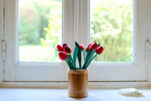 flowers rose windows white red