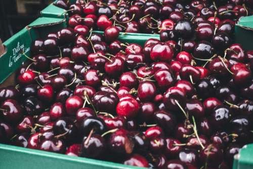 cherries red dark fruits food