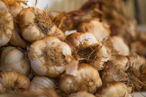 garlic cloves good market ingredients
