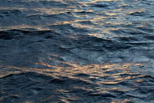 rippled water lake waves sunlight