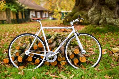 bike bicycle woods log green