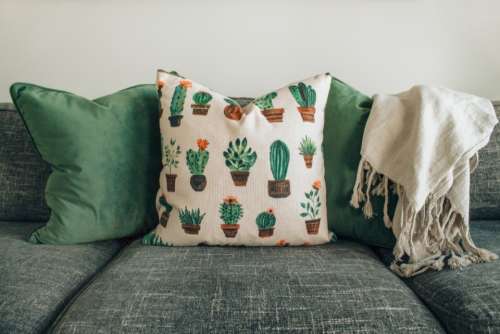 cactus interior design cushion couch