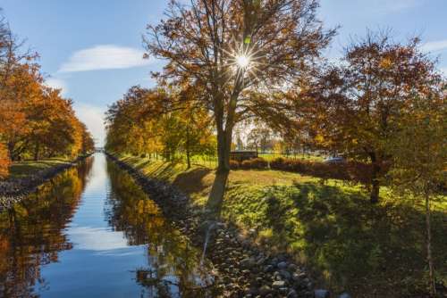 nature river trees plants autumn