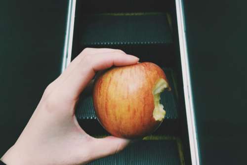 apple fruit food juicy hand
