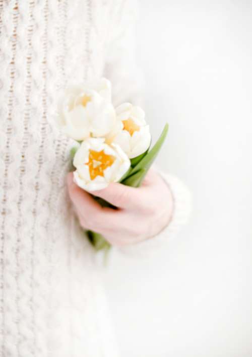 woman holding white flowers nature fauna