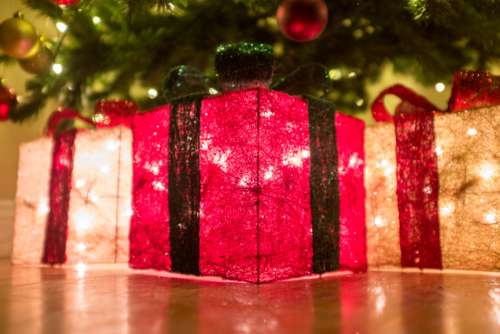 christmas parcel light tree jolly