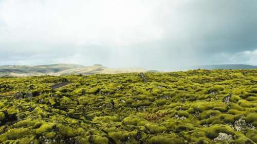 mountain green moss rocks highland