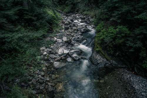 river water rocks trees plant