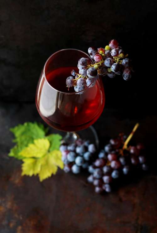 food fruit grapes wine alcohol