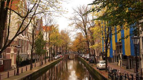 water canal streets trees fall