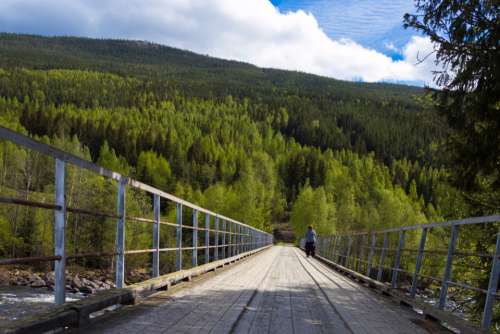 Norway forest mountian bridge travel