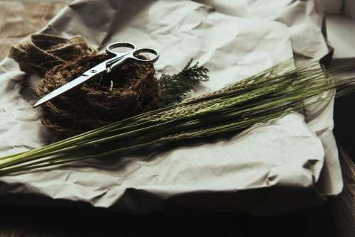 scissors rope wheat objects