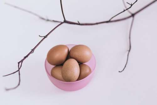 eggs pink container stem bowl