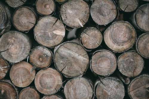 wood logs lumber nature