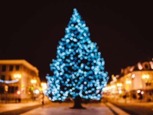 christmas tree lights decorations festive