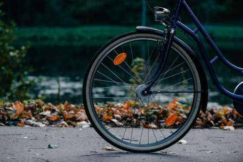 bike bicycle wheel steel leaf