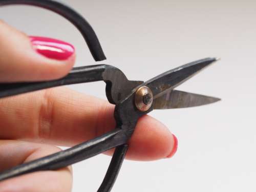 woman scissors pink nails nail varnish