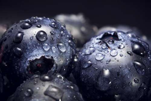 food fruits blueberries moist water
