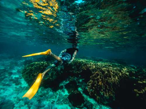 uderwater travel snorkeling sea diver
