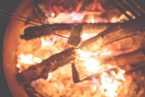 roasting marshmallows bonfire fire flames