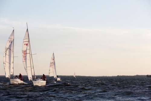 sailboats ocean sea water horizon
