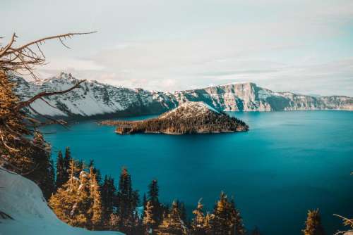 blue lake water trees plant