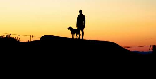 person dog silhouette boy sunset