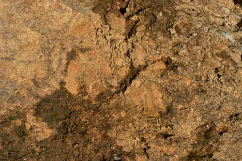 dirt rock texture muddy wet