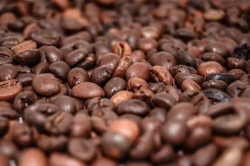 coffee beans roast espresso cafe