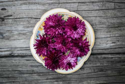 wood table plate purple pink