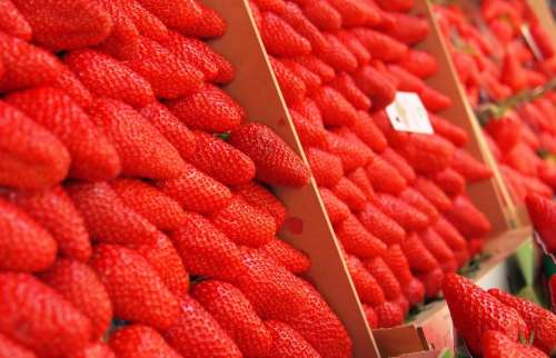 red strawberries strawberry fruits food