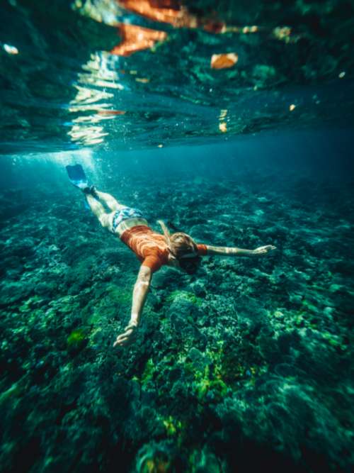 ocean snorkeling travel snorkel woman