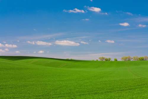 green grass grassland mountain landscape