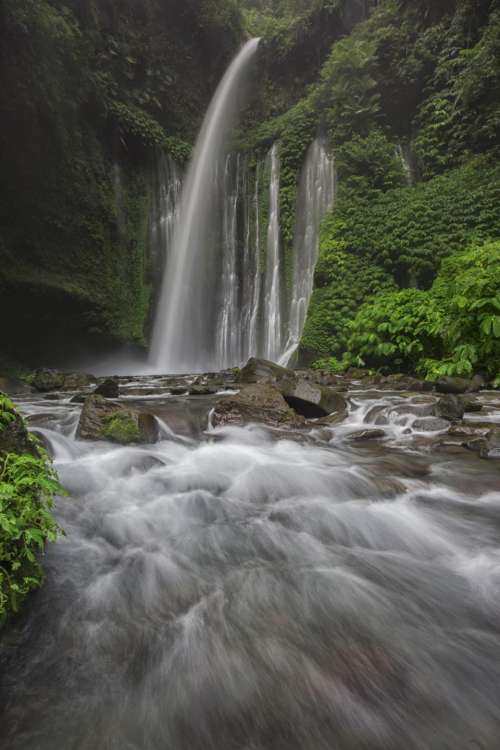nature water raging waterfalls lush