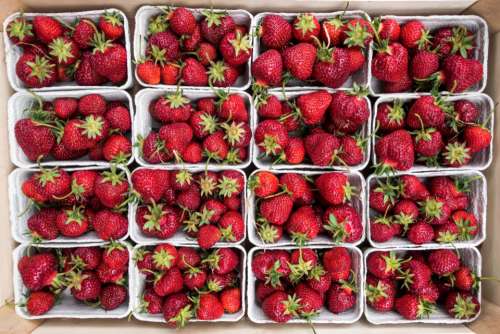 red strawberries fruits food healthy