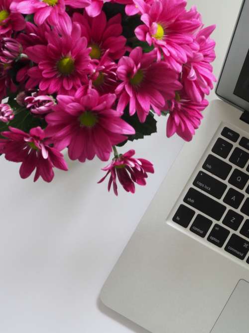 mac pink flowers white table