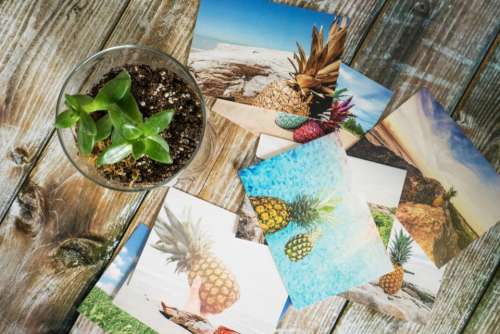 pineapple photo picture wooden table