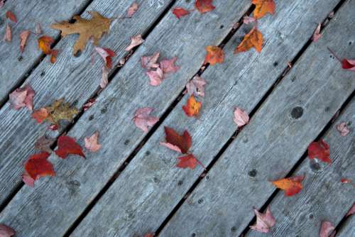 fall leaves wood boards woodgrain