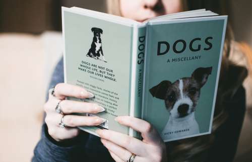 woman reading book dogs pet