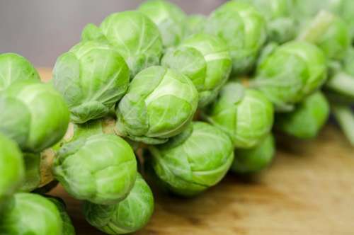green brussels sprouts vegetables healthy food