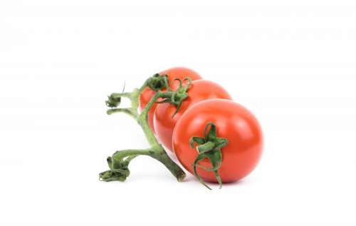 tomato plant crops fruit red