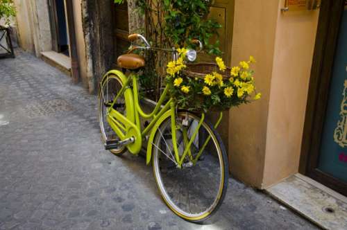 bike bicycle flower basket outside