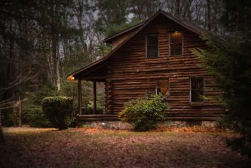 log cabin forest wood rustic